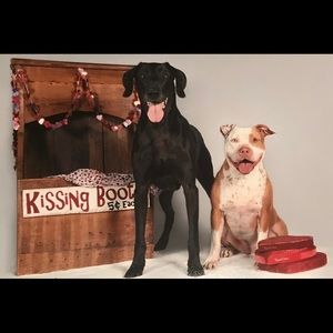 Meet your Posher, Morgan